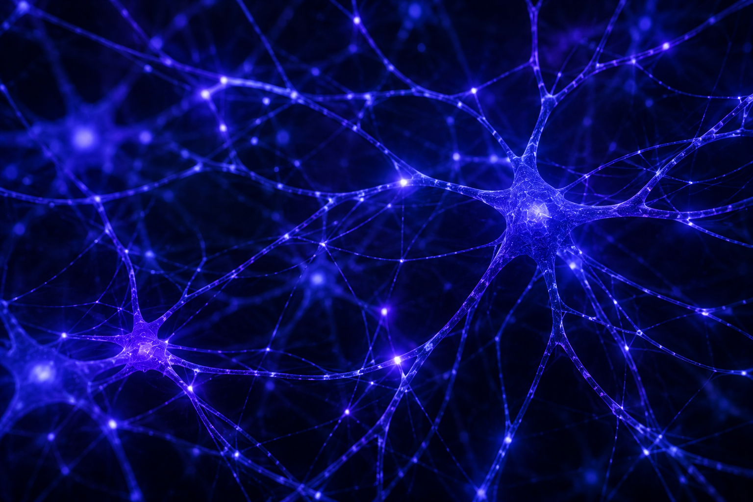 Neural structures